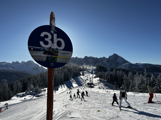 Ski slope markings for the blue slope in the Dachstein West ski area, Gosau